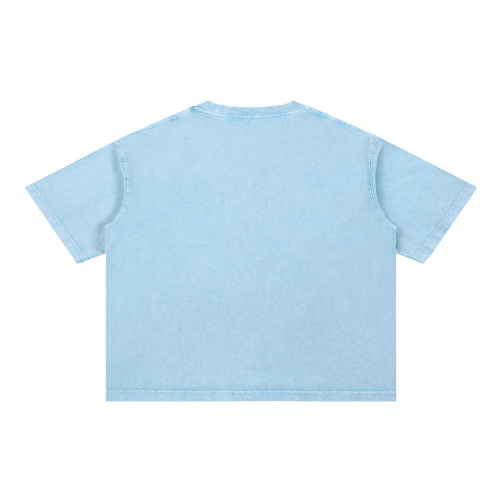 Magnolia Southern Mineral Wash Boxy Cotton T-Shirt